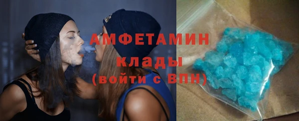 ГАЛЛЮЦИНОГЕННЫЕ ГРИБЫ Вязники