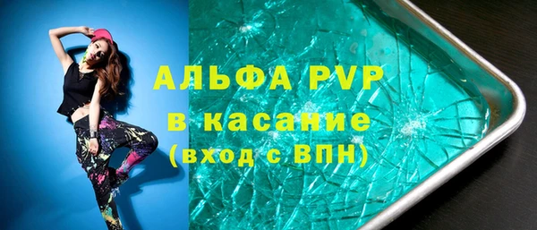 шишки Гусев