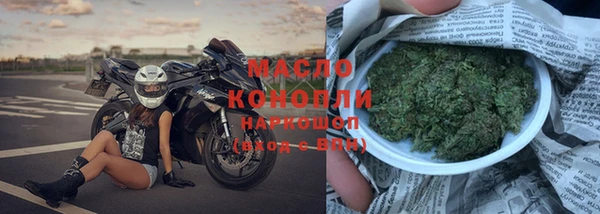 шишки Гусев